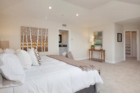 31910 Aquaduct Rd, Bonsall, CA 92003 photo 20