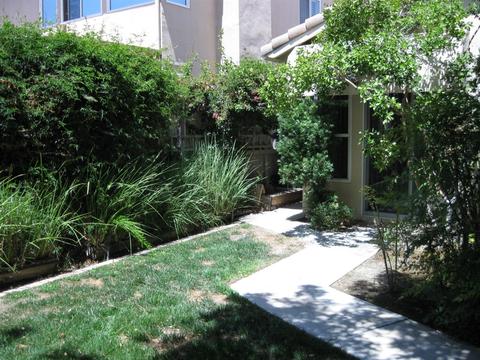 45681 Corte Lobos, Temecula, CA 92592 photo 15