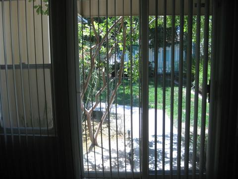 45681 Corte Lobos, Temecula, CA 92592 photo 5