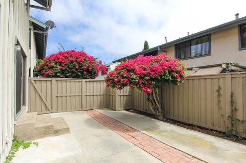 8254 Caminito Modena, La Jolla, CA 92037 photo 20