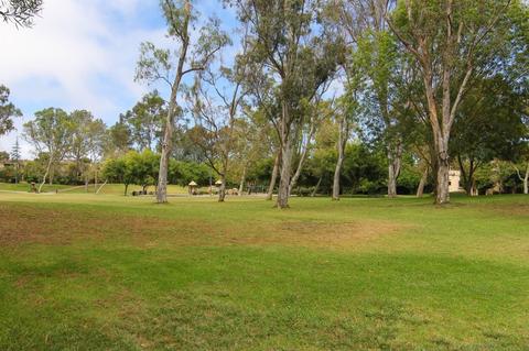 8254 Caminito Modena, La Jolla, CA 92037 photo 25