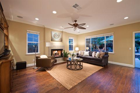 1046 Turnstone, Carlsbad, CA 92011 photo 3