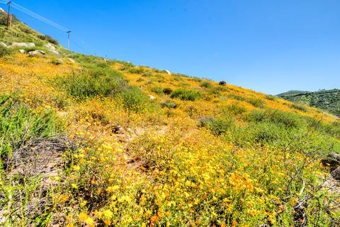 14701 Twin Peaks Rd, Poway, CA 92064 photo 3