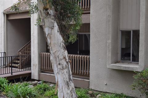 5350 Baltimore Dr #33, La Mesa, CA 91942 photo 3