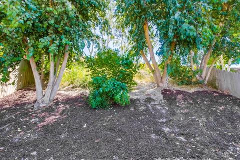 4233 Bonita Dr, Oceanside, CA 92056 photo 17