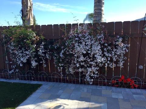 8341 Rumson, Santee, CA 92071 photo 14