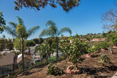 333 Horizon Dr, Encinitas, CA 92024 photo 21
