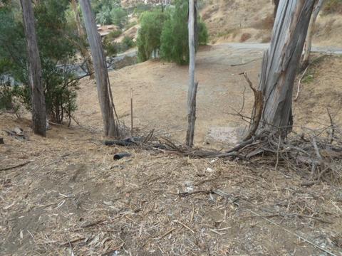 13790 Jamul Dr, Jamul, CA 91935 photo 7