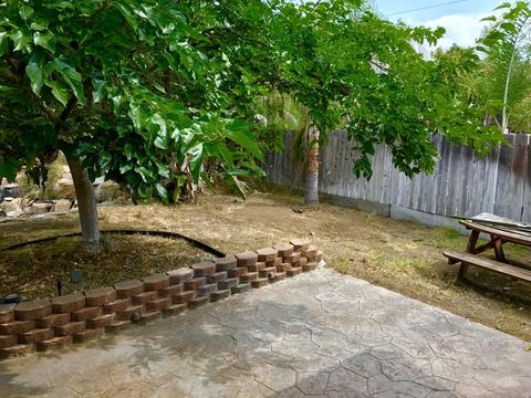 1469 Olive Ave, Vista, CA 92083 photo 23