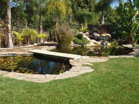 1469 Olive Ave, Vista, CA 92083 photo 21