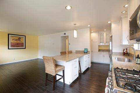 751 Snapdragon, Encinitas, CA 92024 photo 10