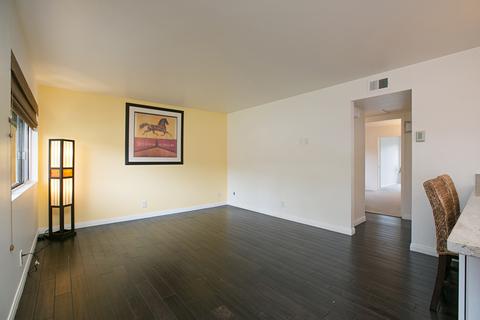 751 Snapdragon, Encinitas, CA 92024 photo 9