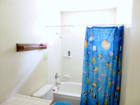 9171 Todos Santos Dr, Santee, CA 92071 photo 15