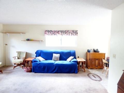 9171 Todos Santos Dr, Santee, CA 92071 photo 9
