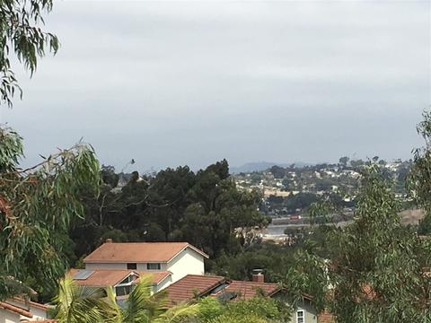 2756 Avalon Ave, Carlsbad, CA 92010 photo 24