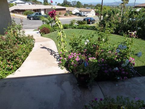 4021 Altura Dr, Oceanside, CA 92056 photo 5