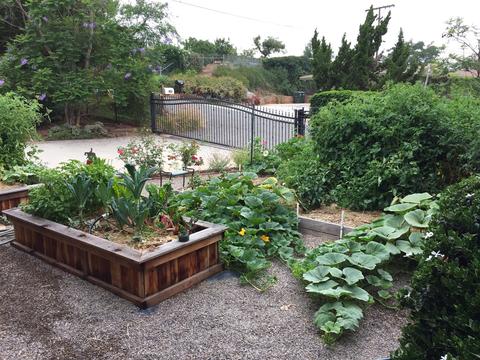 903 Ranrido Dr, Escondido, CA 92025 photo 24