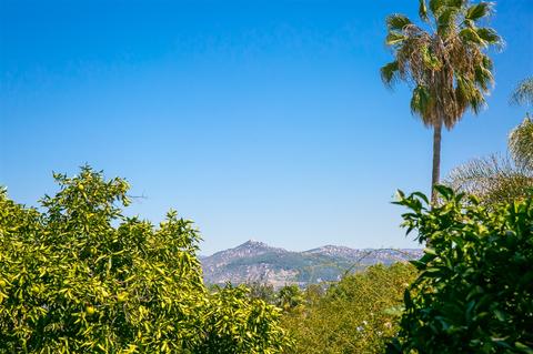 903 Ranrido Dr, Escondido, CA 92025 photo 23