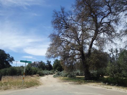 2408 Lupine Dr, Campo, CA 91906 photo 20