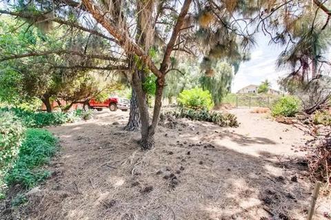 10788 Eureka, Spring Valley, CA 91978 photo 11