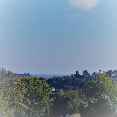 2707 Tiburon Ave, Carlsbad, CA 92010 photo 23