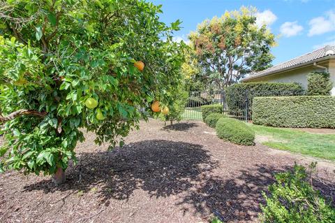 3316 Ashley Park Dr, Jamul, CA 91935 photo 25