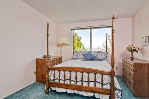 327 N Willowspring Dr, Encinitas, CA 92024 photo 22