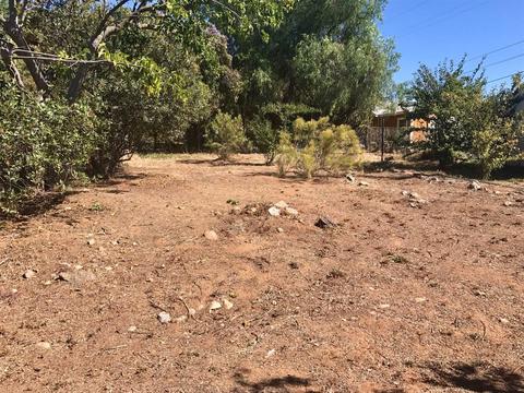 2946 Holly Rd, Alpine, CA 91901 photo 23