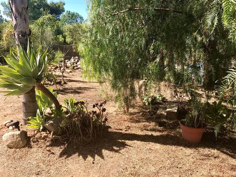 2946 Holly Rd, Alpine, CA 91901 photo 22