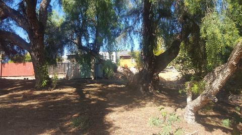 508 Crouch St, Oceanside, CA 92054 photo 16
