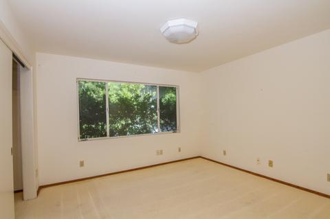 5341 Calumet Ave, La Jolla, CA 92037 photo 17