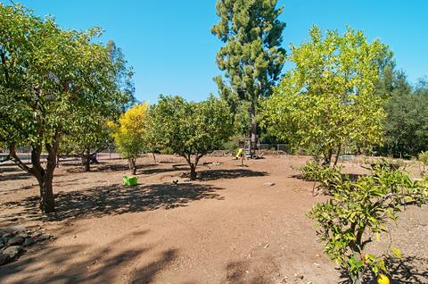 13610 Rostrata Rd, Poway, CA 92064 photo 23