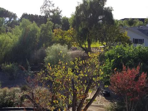 822 Homeward Way, Alpine, CA 91901 photo 2