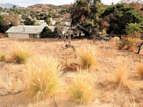 8773 Gardena Rd, Lakeside, CA 92040 photo 21