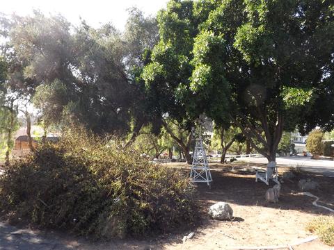 1685 Howard, San Ysidro, CA 92173 photo 7
