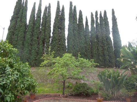 10905 Del Rio Rd, Spring Valley, CA 91978 photo 24