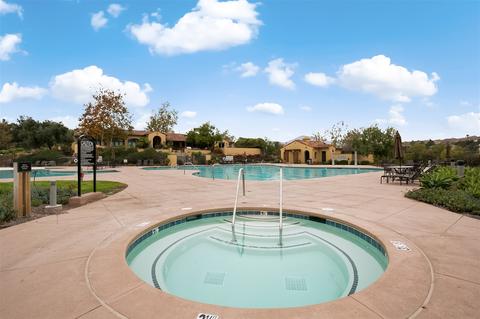 1271 Stagecoach Trail Loop, Chula Vista, CA 91915 photo 19
