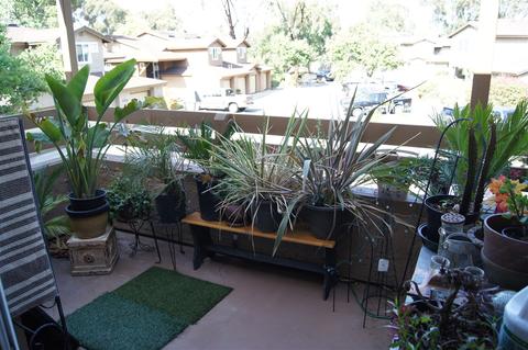 7341 Park View Ct #155, Santee, CA 92071 photo 16