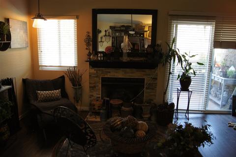 7341 Park View Ct #155, Santee, CA 92071 photo 8