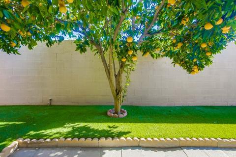 1275 Oakdale Ave #A, El Cajon, CA 92021 photo 17