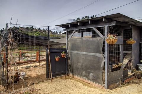 10727 Rainbrook Dr, Fallbrook, CA 92028 photo 20