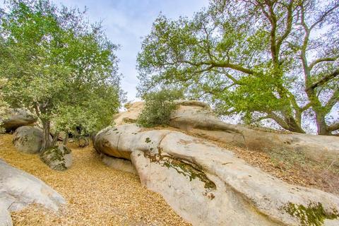 3550 Carveacre Rd, Alpine, CA 91901 photo 21
