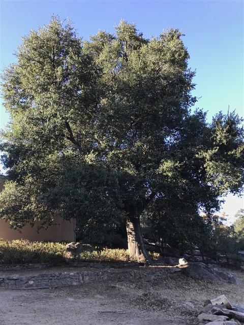 29152 Laguna Trl, Pine Valley, CA 91962 photo 14