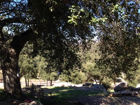 29152 Laguna Trl, Pine Valley, CA 91962 photo 15
