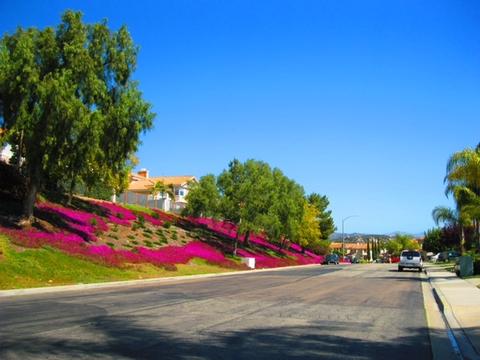2405 S Summit Circle Gln, Escondido, CA 92026 photo 3