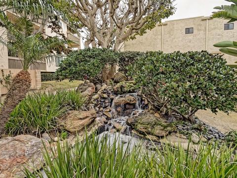 441 S Sierra Ave #204, Solana Beach, CA 92075 photo 15