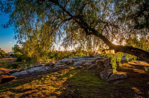 1137 Summer Gln, Ramona, CA 92065 photo 16