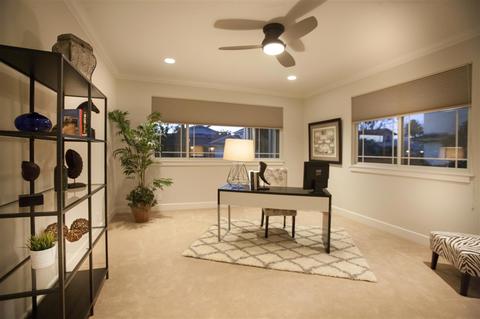 14161 Recuerdo Dr, Del Mar, CA 92014 photo 17
