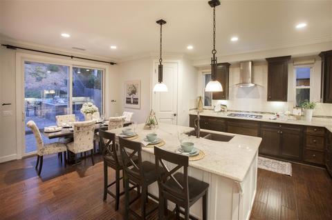 14161 Recuerdo Dr, Del Mar, CA 92014 photo 8