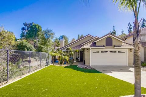 2597 Pimlico Pl, Alpine, CA 91901 photo 25